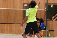 INA_2010.jpg
